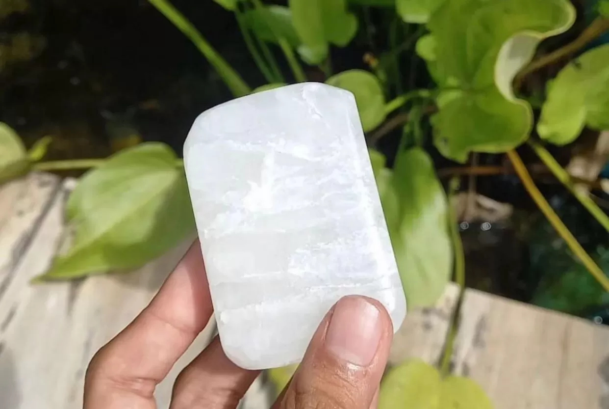 IMG-20240302-WA0005-31795406